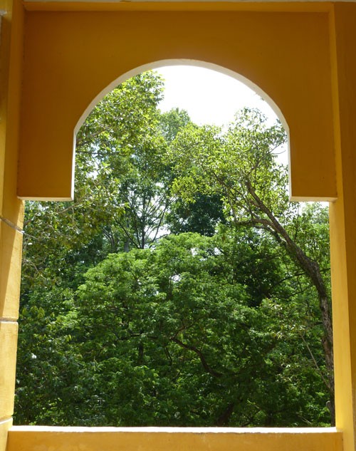 THPT Trưng Vương - ngôi trường cổ kính đầy thơ mộng