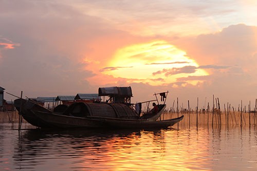 Hoàng hôn vàng óng trên đầm Chuồn
