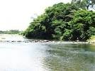 Vợ chồng chết thương tâm khi đi bắt cá bằng kích điện