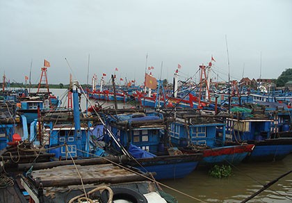Cấm tàu thuyền xuất bến trước áp thấp nhiệt đới gần bờ