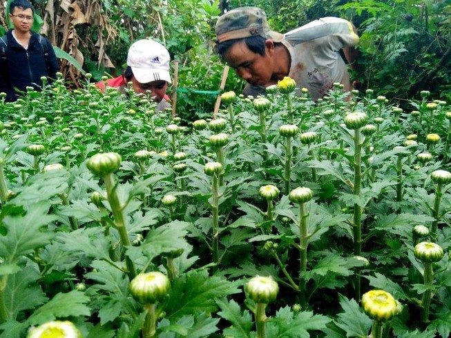 Mầm xuân nơi rốn lũ