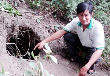 An Giang: Xuất hiện rắn khổng lồ ở Bảy Núi (?)