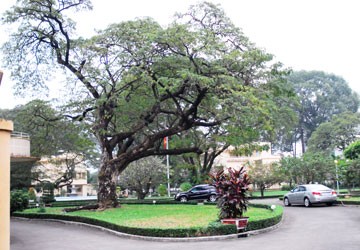 Bản sắc mới chưa có, di sản đã mất đi