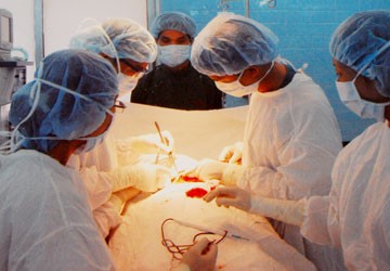 Hình ảnh đẹp của người thầy thuốc trong tôi