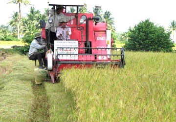 Nông nghiệp là chỗ dựa của nền kinh tế
