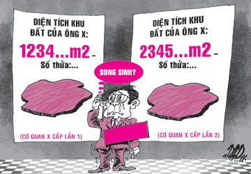 Tranh chấp đất đai: Hầu hết sai sót đều liên quan đến chứng cứ