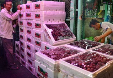 Tăng cường kiểm tra chất lượng trái cây nhập khẩu