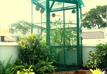 Vườn chim trong nhà phố
