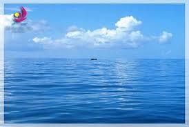Đưa thuyền viên bị gãy chân trên biển vào bờ cấp cứu
