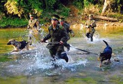Mở đợt cao điểm chống buôn lậu