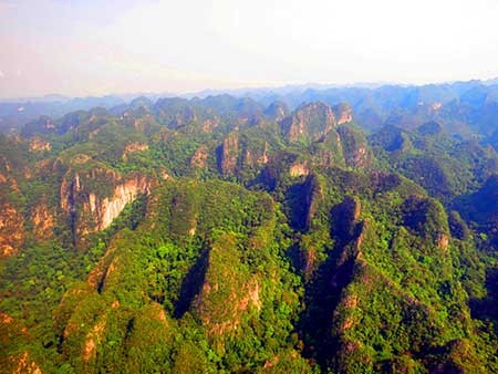 'Vườn treo Babylon' khổng lồ