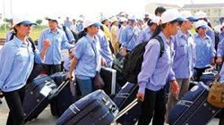Vụ nhận tiền, “hứa hão” đưa đi Nhật: Thu tiền để làm “lộ phí” tìm đơn hàng (?)