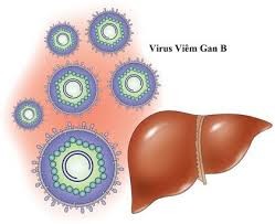 15-20% dân số Việt Nam nhiễm virus viêm gan B