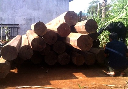 Gỗ lậu giấu trong nhà nguyên phó Bí thư huyện ủy