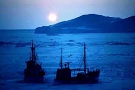 Chấn chỉnh thuyền viên Việt Nam nhảy tàu bỏ trốn