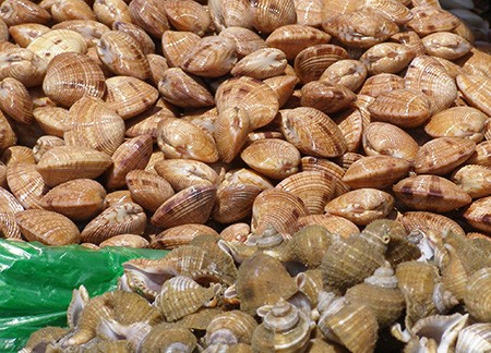 Chuyên gia 'bật mí' cách chế biến hải sản