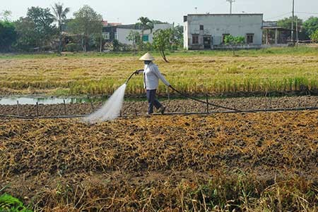 Không có chuyện “chỉ cho tách thửa đất để ở“