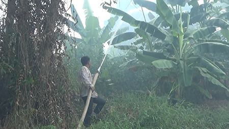 Đám cháy 13,8 ha rừng U Minh Hạ đã được khống chế