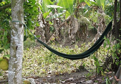 Phát hiện người đàn ông chết dưới gốc cây