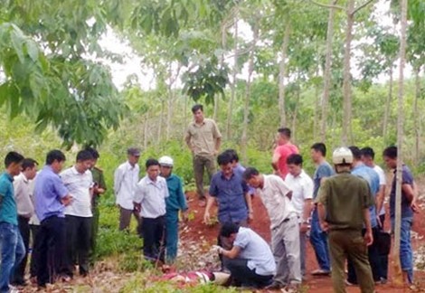 Nam sinh viên bị đâm chết trong vườn cao su