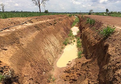Đào hào ngăn voi rừng, doanh nghiệp bị phạt 50 triệu đồng