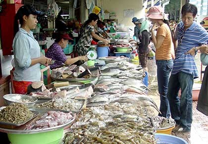Cần công khai 808 sản phẩm thủy sản trái phép