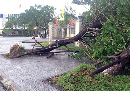 Kiểm tra ghe thuyền, người đàn ông bị trượt chân tử vong