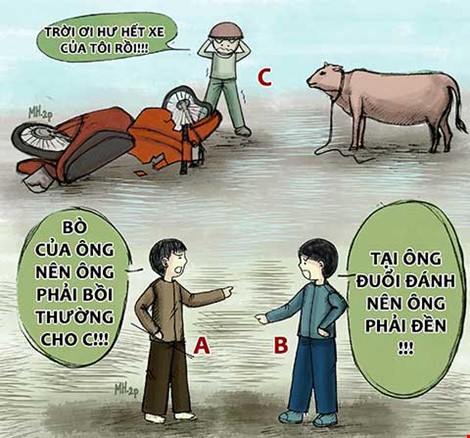 À Ra Thế kỳ 8: Tông phải bò, ai bồi thường?