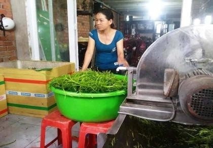 TP.HCM: Lại phát hiện cơ sở ngâm rau bằng hóa chất
