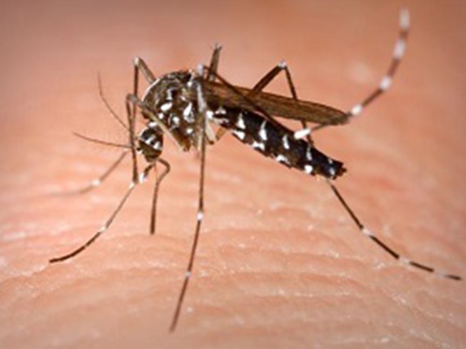 Thêm 2 trường hợp nhiễm virus Zika tại Việt Nam
