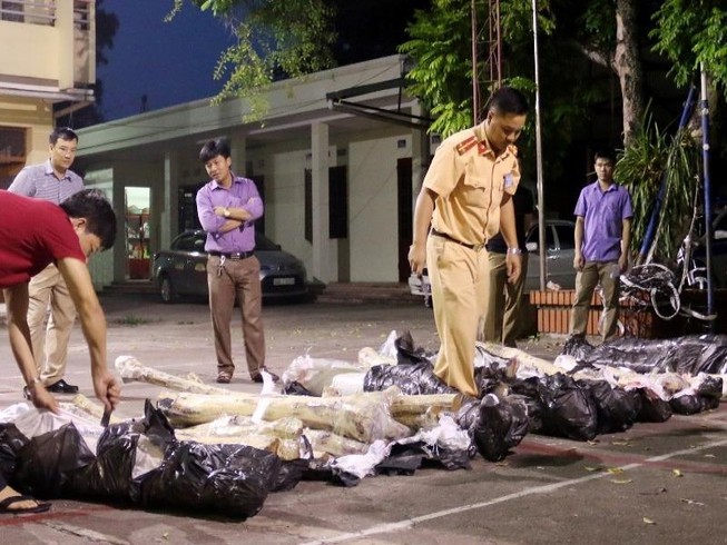 Vận chuyển hơn 500kg gỗ sưa, bị lực lượng chức năng bắt