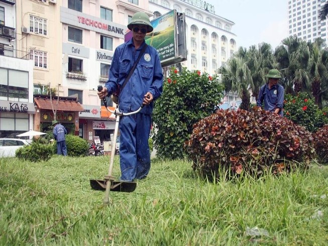Hà Nội cắt tỉa cỏ trở lại sau 3 tháng 'án binh'