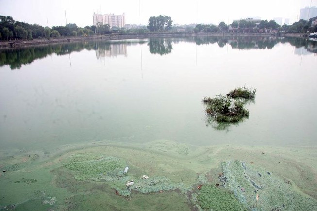 Hồ nước bốc mùi hôi thối, người dân 'cố thủ' trong nhà