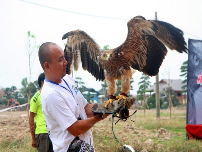 Hào hứng với hội thi chim ở Hà Nội