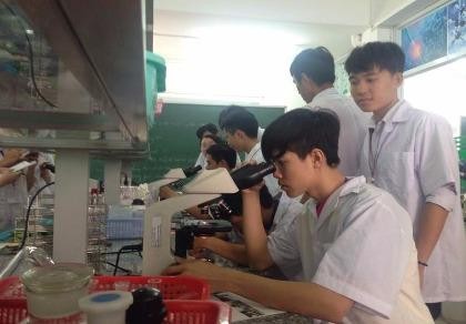 16 trường nghề phản ứng thông tư về đào tạo ngành y
