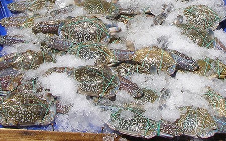 Kinh nghiệm chọn hải sản tươi, ngon