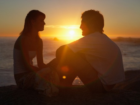 Gà trống cần tìm gà mái