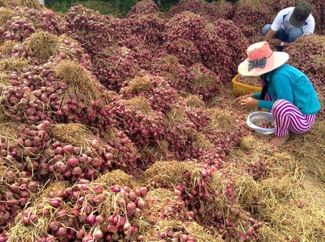 10 ký hành bán không mua được tô phở