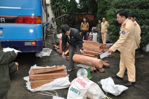 Gần tết, kiểm lâm khó quản lý rừng
