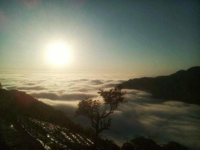Lên Tam Đảo ‘săn’ mây