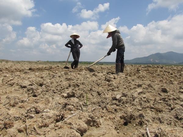 Kon Tum công bố hạn hán cấp độ rủi ro cấp 1