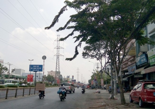 Không cho đốn 162 cây xanh ở đường Kinh Dương Vương