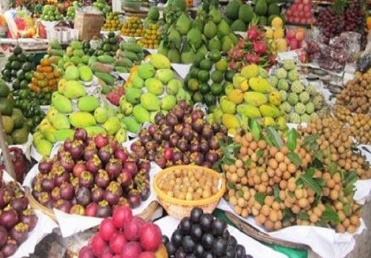 Trái cây Việt thiệt thòi vì bị ‘mượn xác'