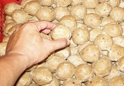 Đề xuất kiểm tra ADN nguyên liệu sản xuất thực phẩm
