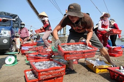 Xét nghiệm khoảng 1.000 mẫu thủy, hải sản miền Trung