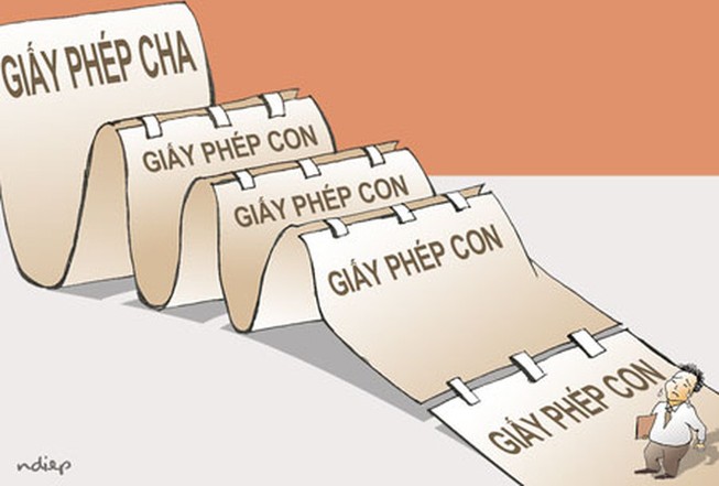 Pháp luật rất đắt đỏ và chuyện mò mẫm trong rừng