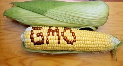 Thực phẩm biến đổi gen phải ghi nhãn rõ 'biến đổi gen'
