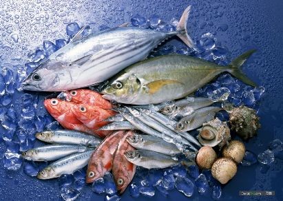 EU cảnh báo chất lượng nhiều lô hàng thủy sản Việt Nam