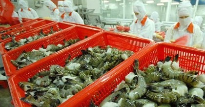 Mỹ tăng gần 5 lần thuế chống bán phá giá lên tôm Việt Nam