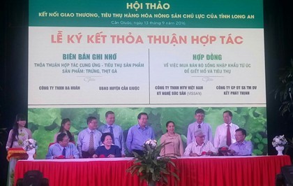 TP.HCM ký kết tiêu thụ chanh không hạt, chuối, rau thơm của Long An
